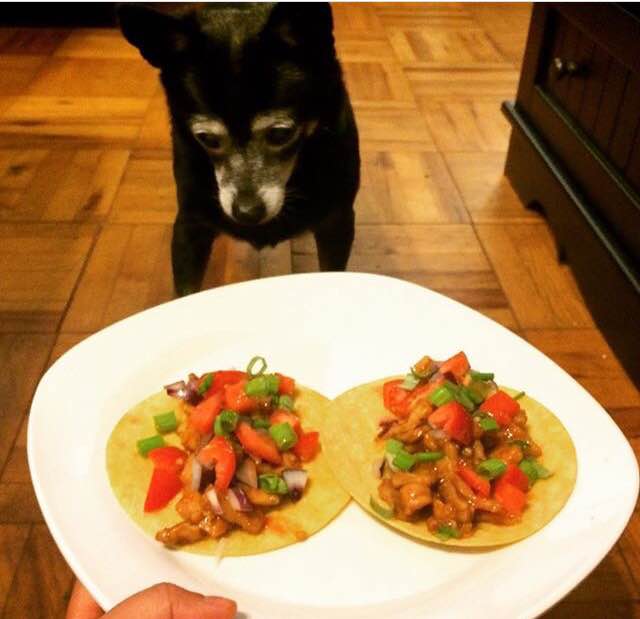 Thuy's Korean bulgogi pork tacos, made almost entirely of items from Project Open Hand's Grocery Center