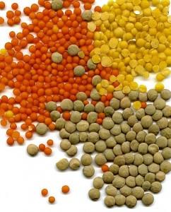 Assorted Lentils - 5 Reasons Why You Should Eat LENTILS!