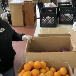 Are Masks Required to Volunteer?