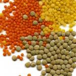 Assorted Lentils - 5 Reasons Why You Should Eat LENTILS!